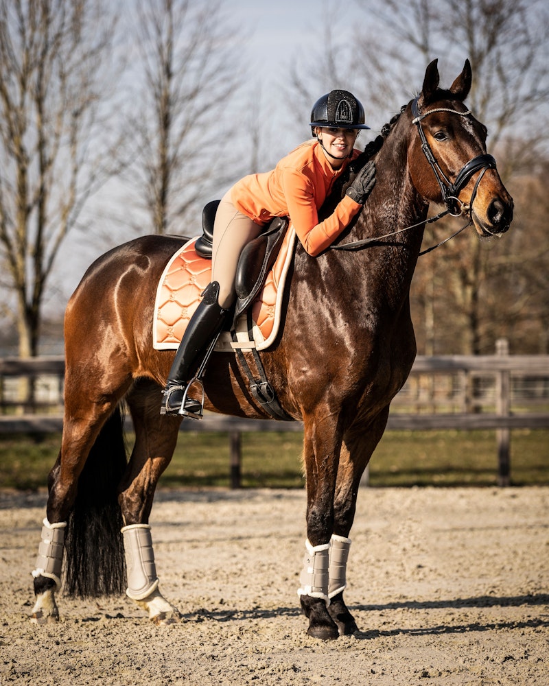 How to wear it Saddle Pad Dressage Essential
