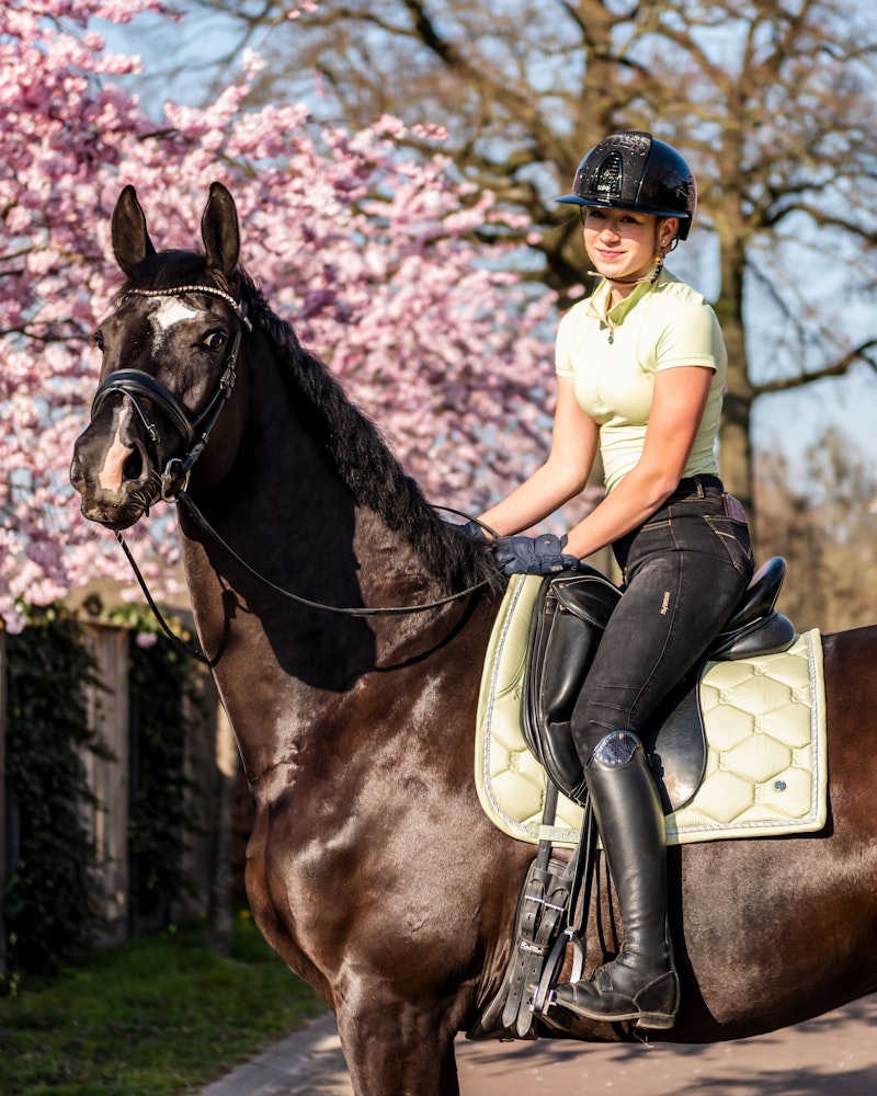 How to wear it Saddle Pad Dressage Classic
