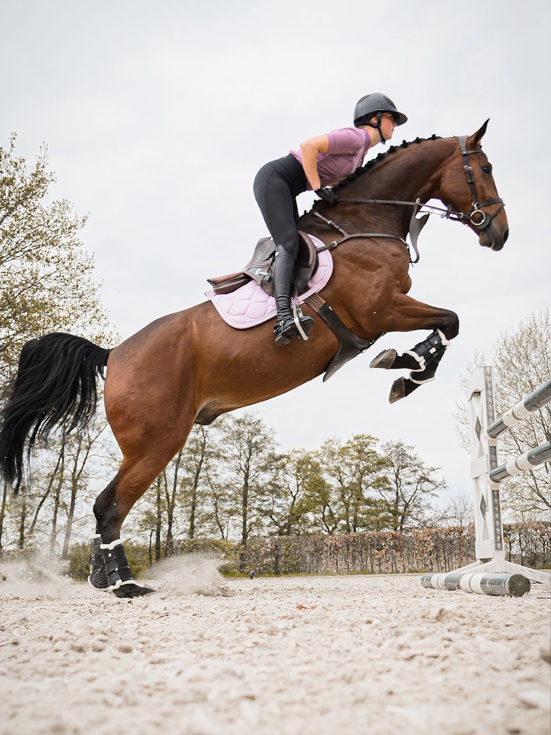 How to wear it Saddle Pad Jump Classic