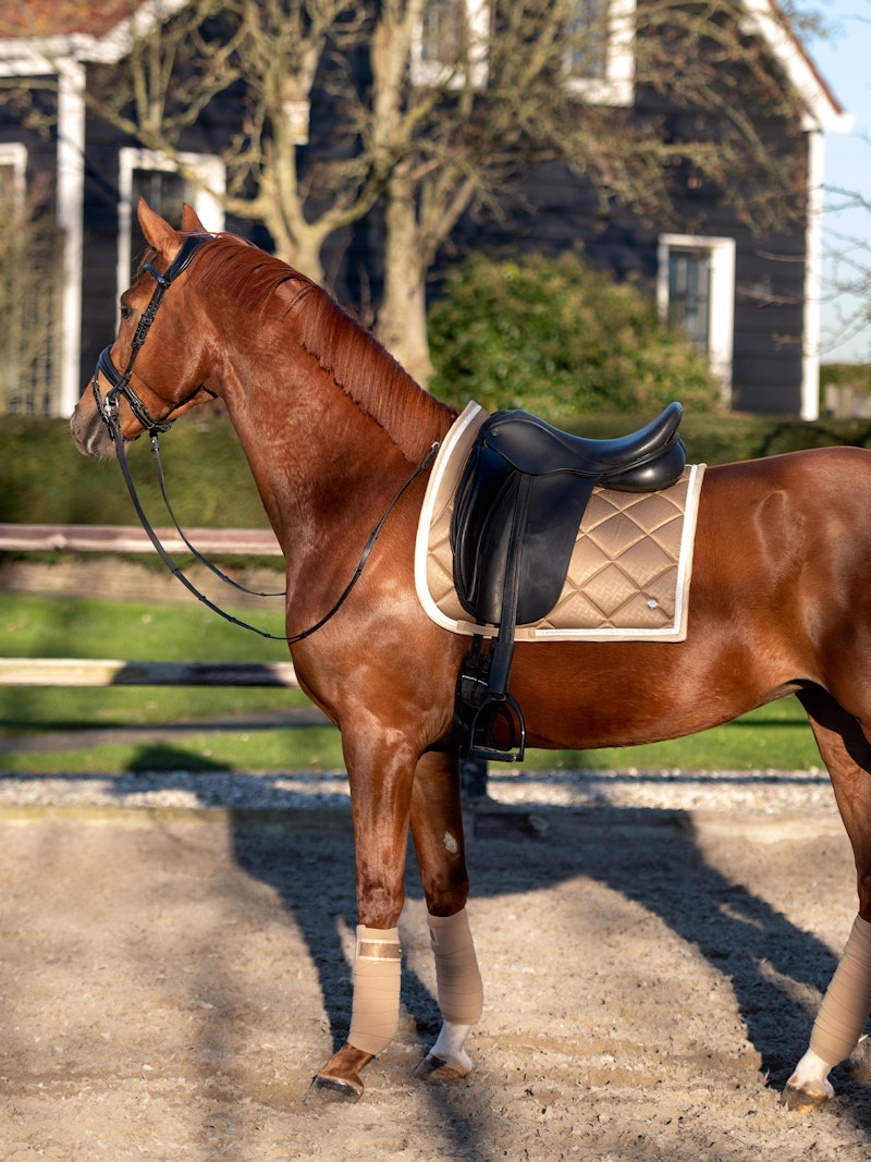 How to wear it Saddle Pad Dressage Natural