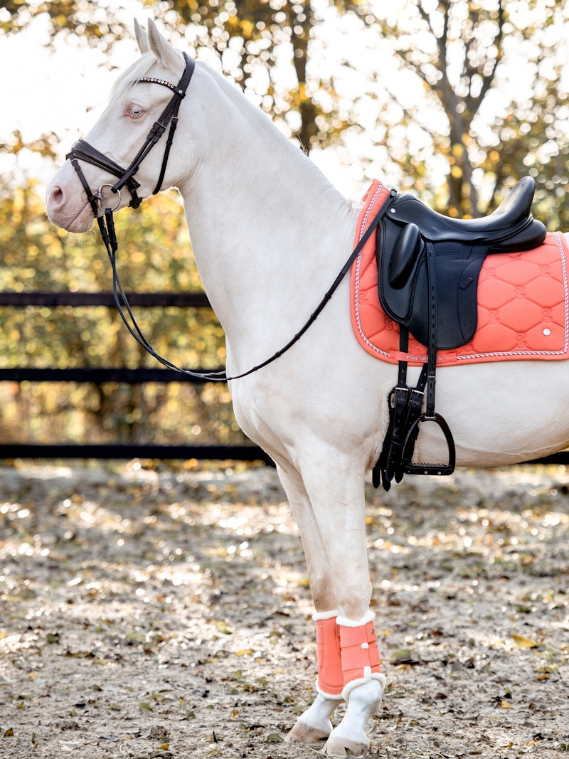 How to wear it Saddle Pad Jump Cotton Signature