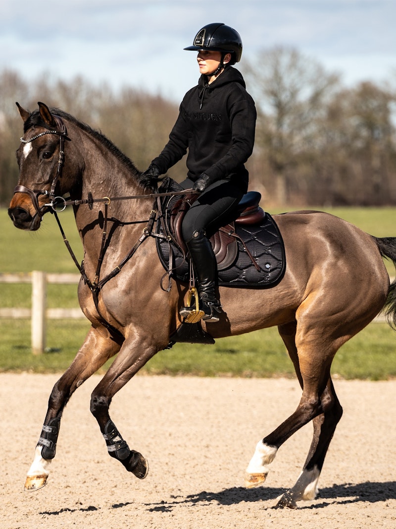 How to wear it Saddle pad Jump Desert