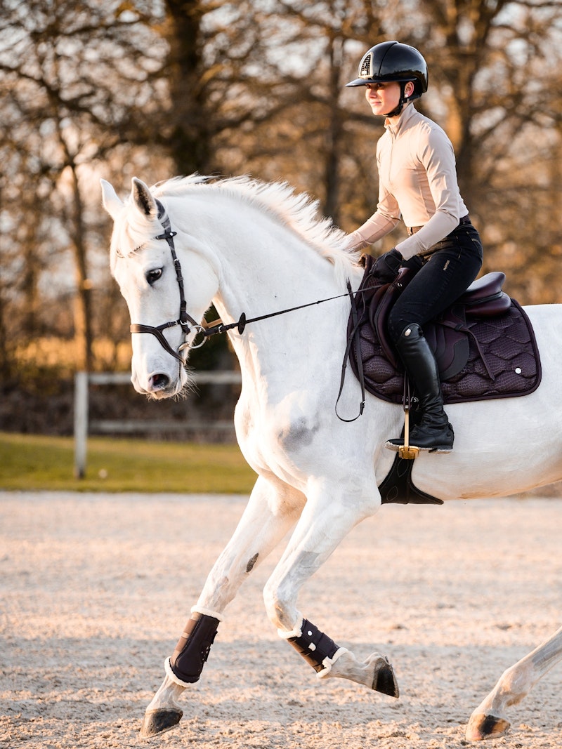 How to wear it Saddle pad Jump Desert