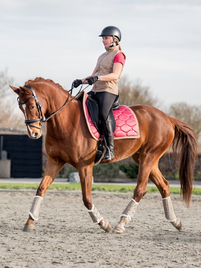 How to wear it Saddle Pad Dressage Essential