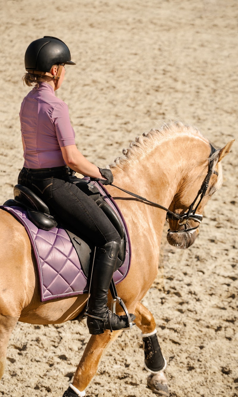 How to wear it Saddle Pad Dressage Wave