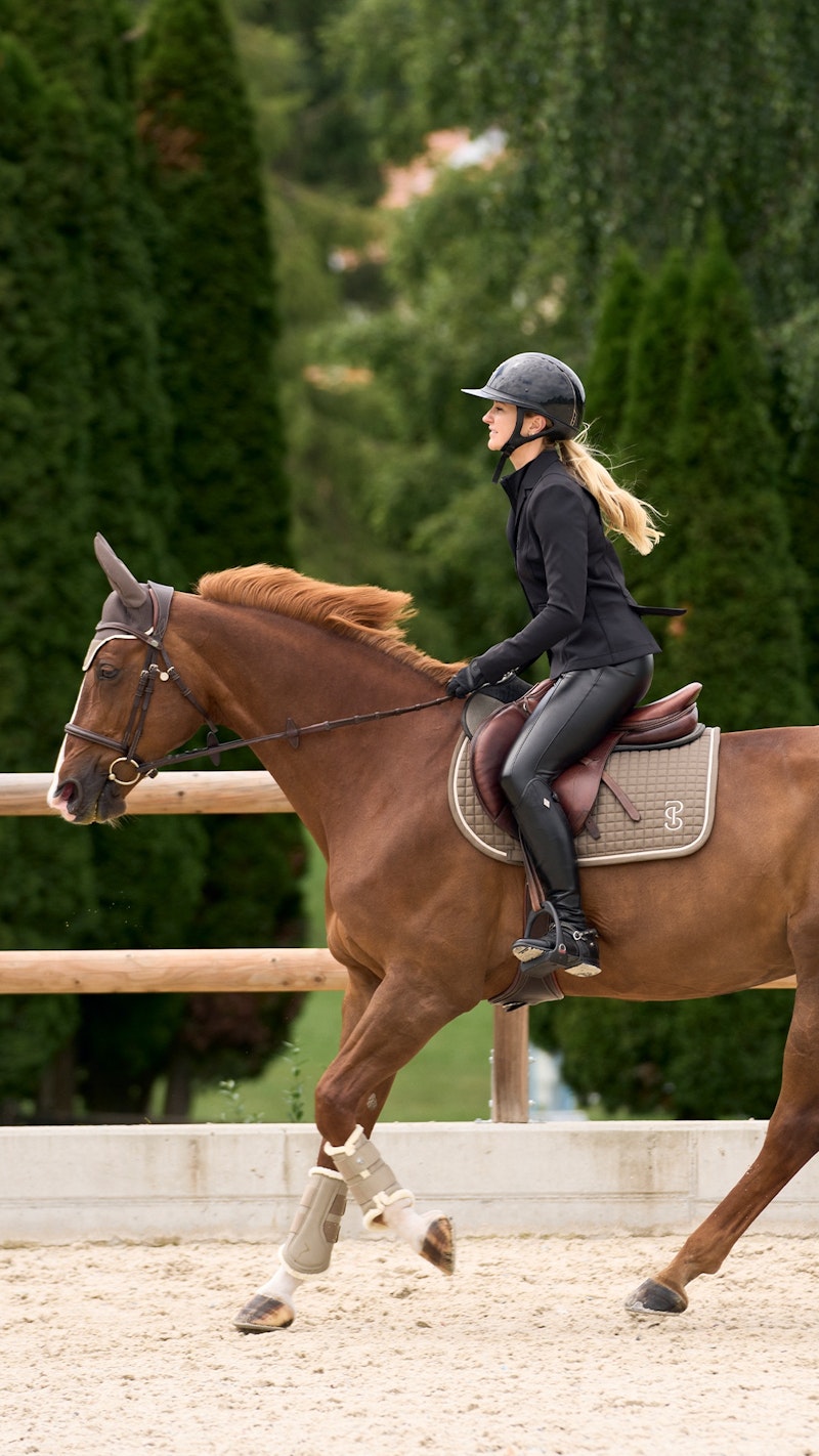 How to wear it Saddle Pad Jump Elite