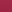 MIDNIGHT FUCHSIA MIDNIGHT FUCHSIA