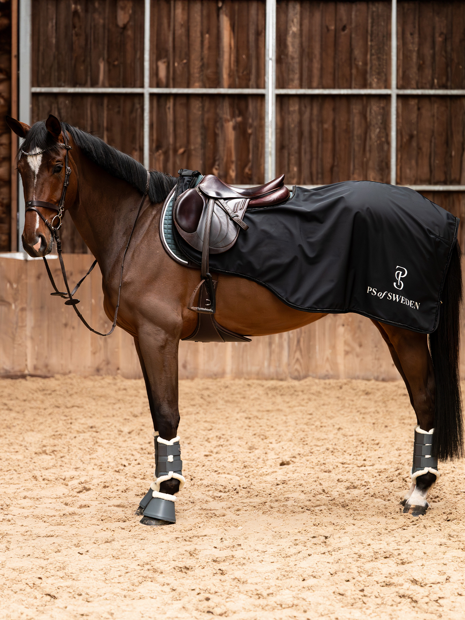 Versatile Exercise Rug