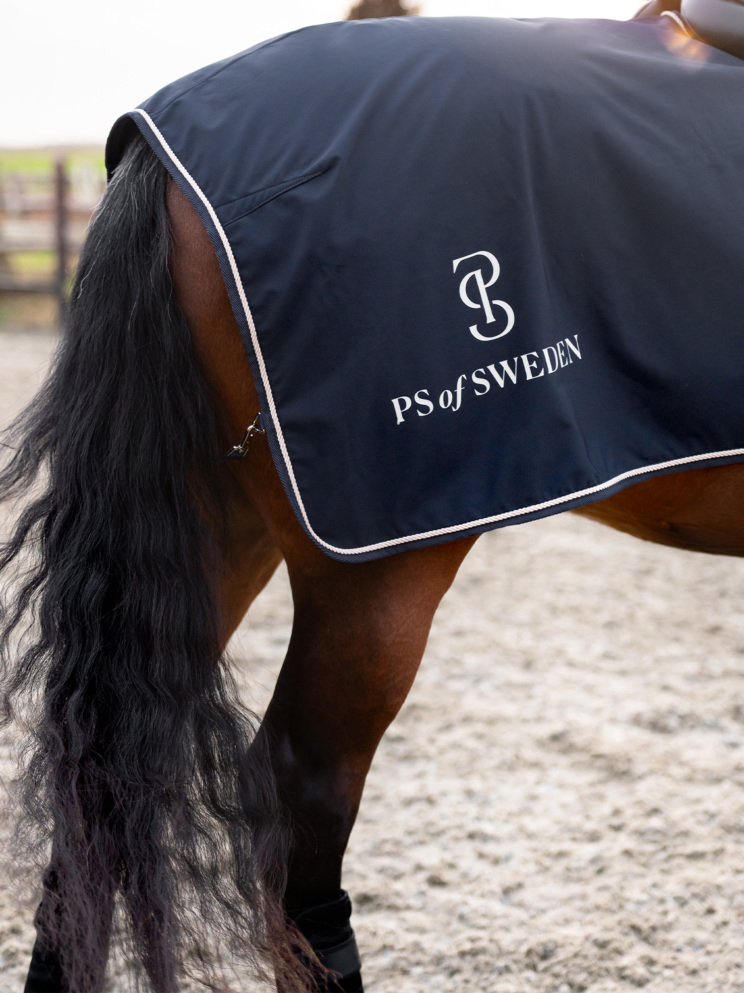 Versatile Exercise Rug