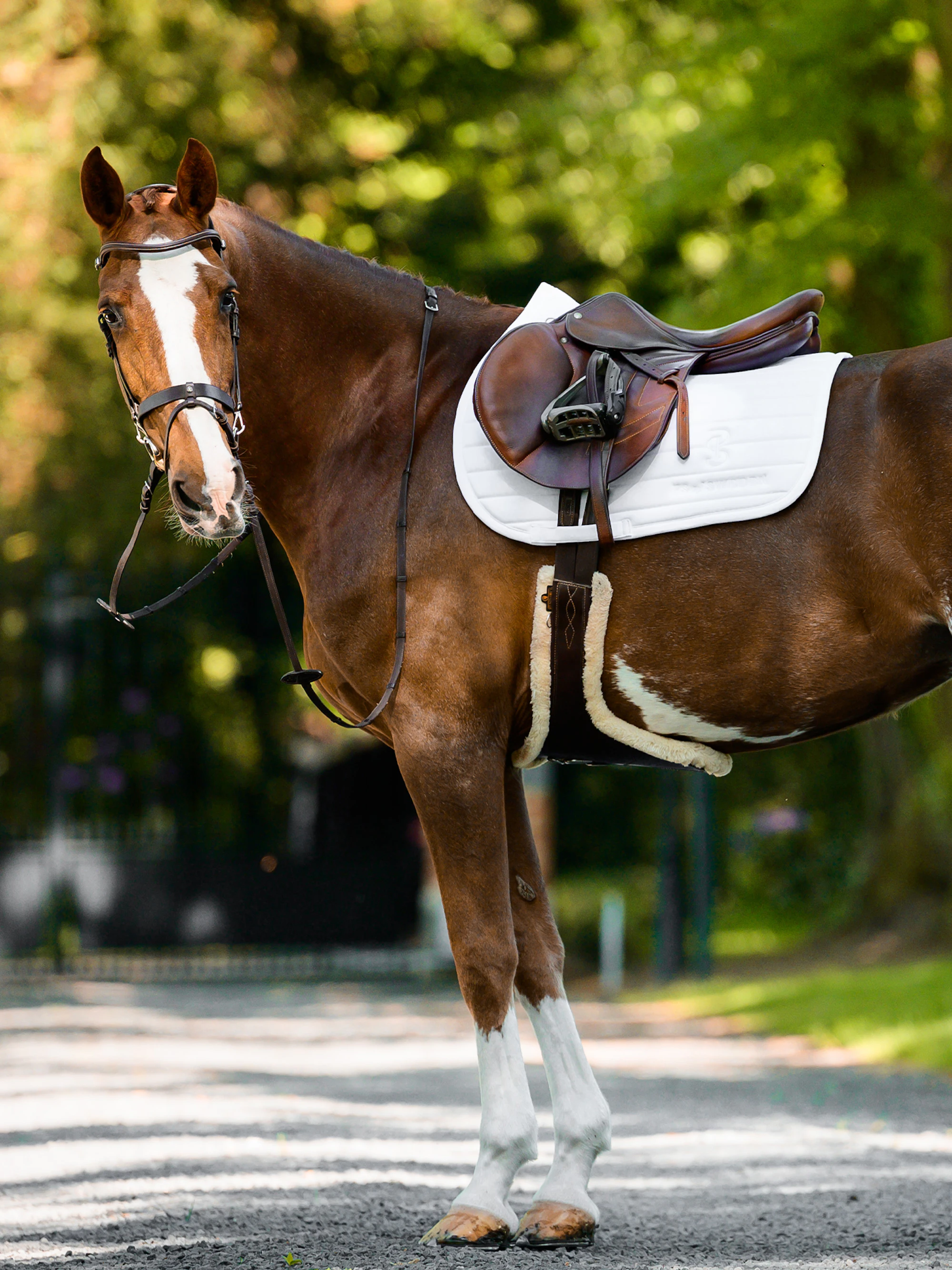 Stripe Jump Saddle Pad Stripe Jump Saddle Pad