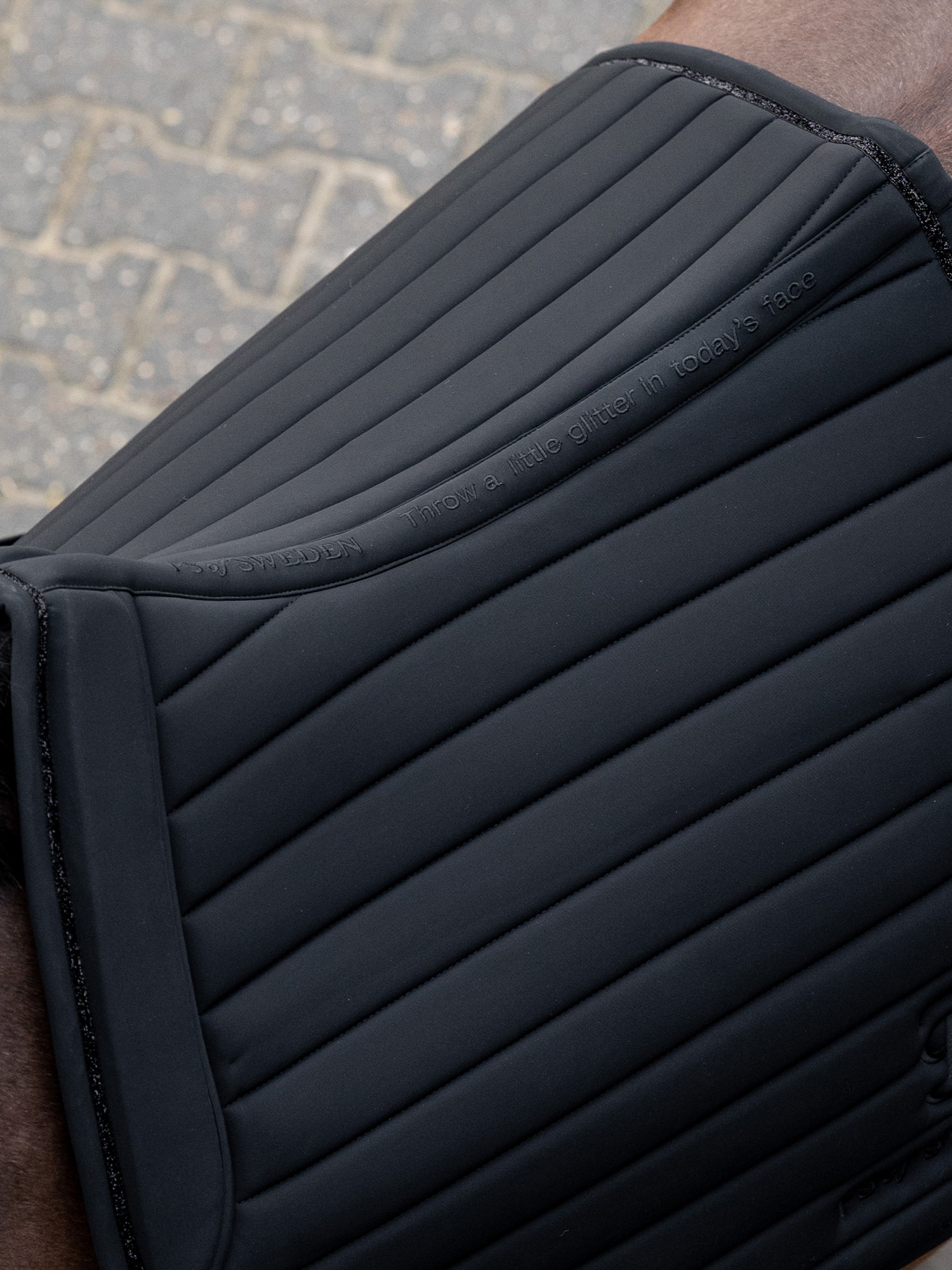 Dressurschabracke Stripe