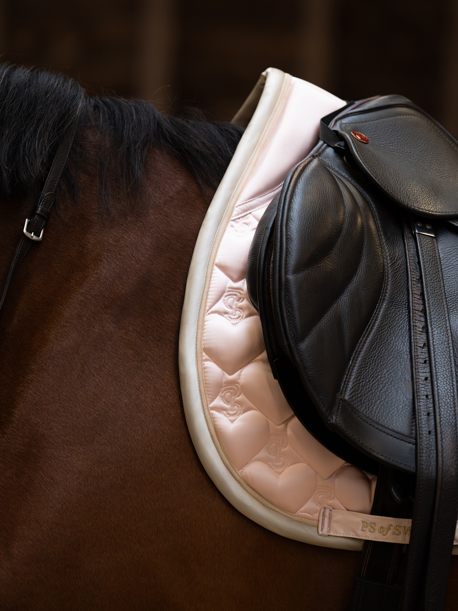 Saddle Pad Heart Jump