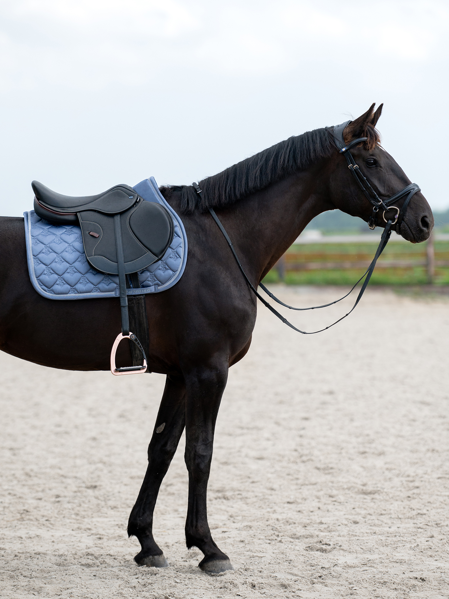 Saddle Pad Heart Jump