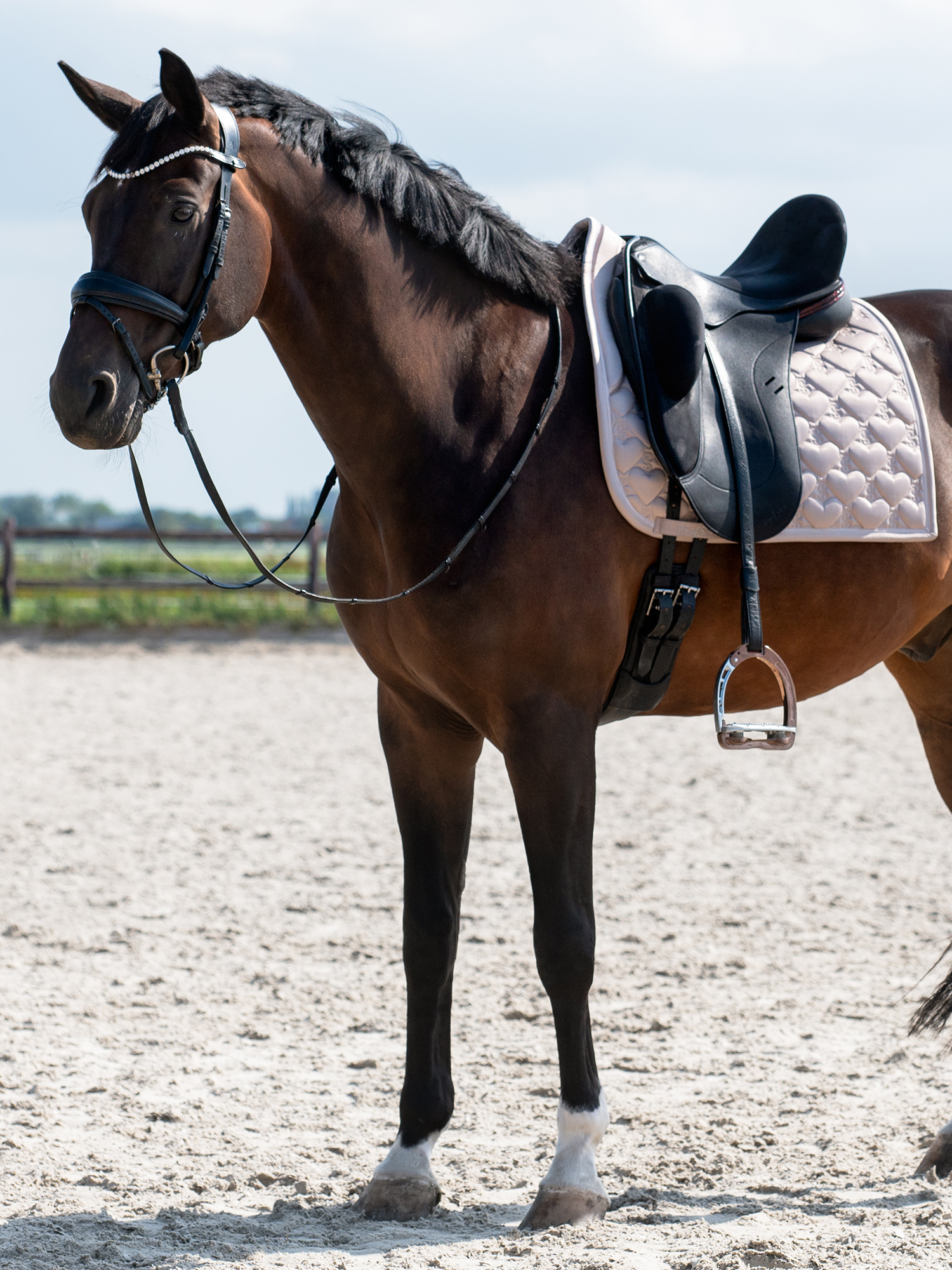 Saddle Pad Heart Dressage