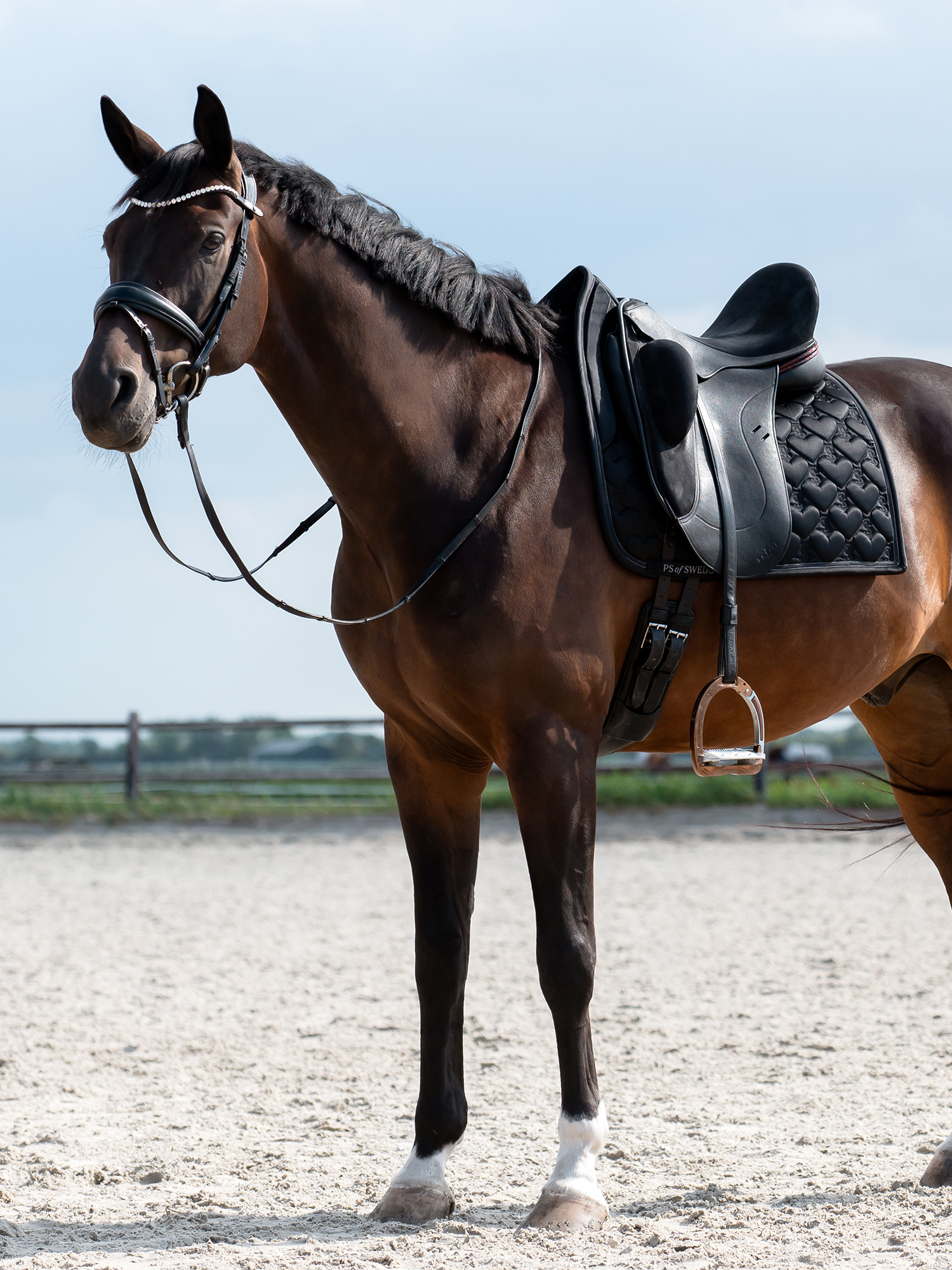 Saddle Pad Heart Dressage