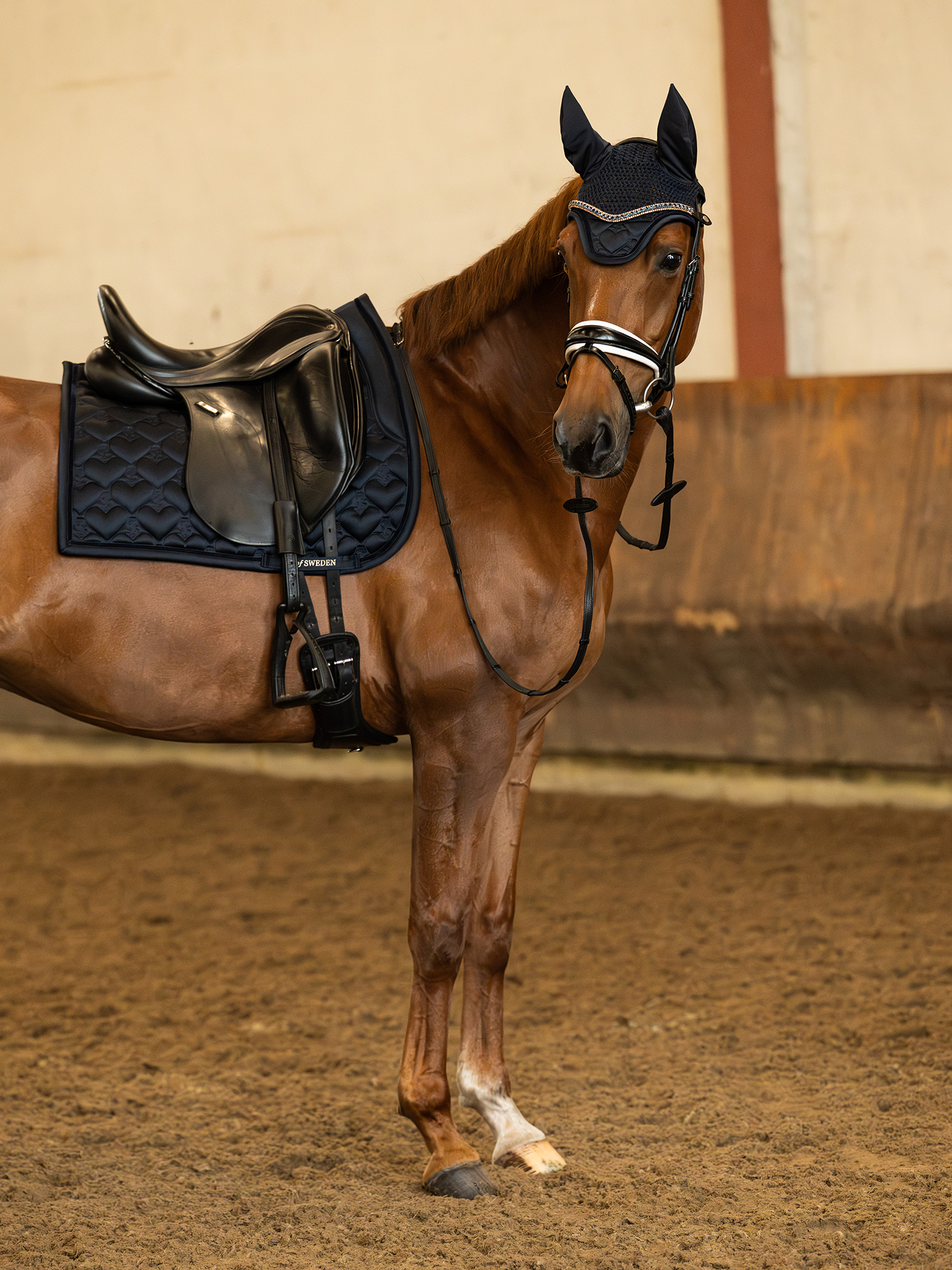 Saddle Pad Heart Dressage