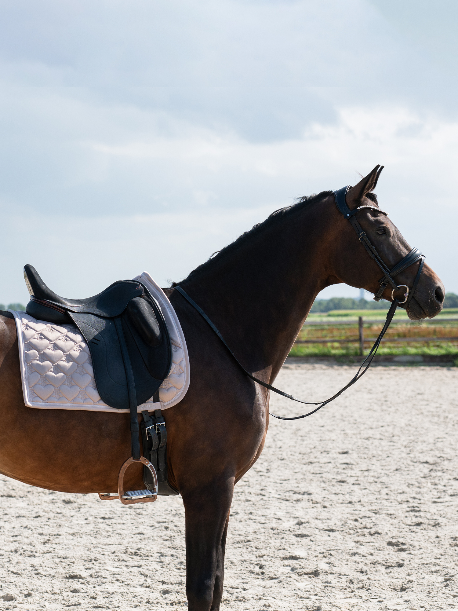 Saddle Pad Heart Dressage