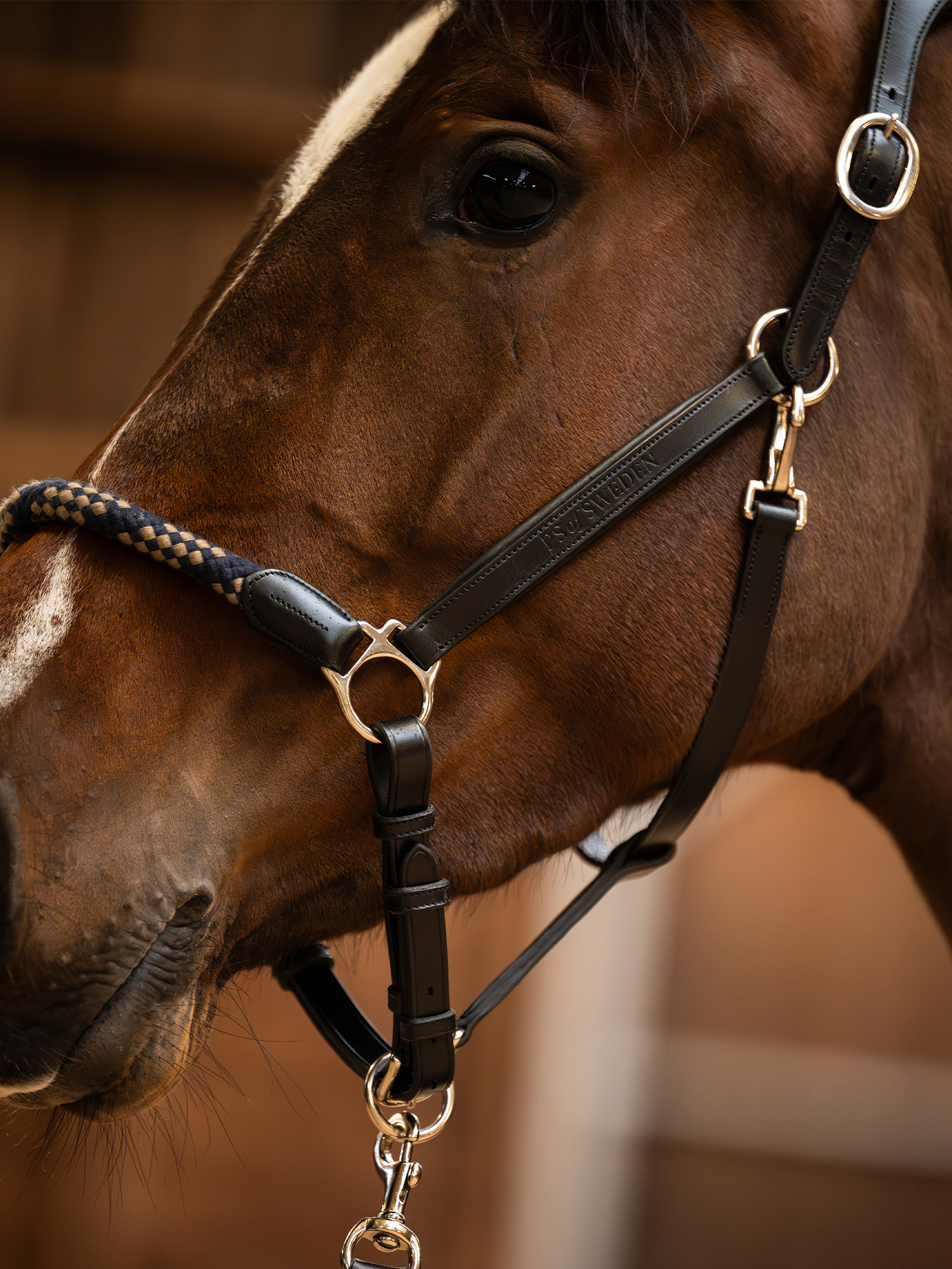Palermo Leather Halter