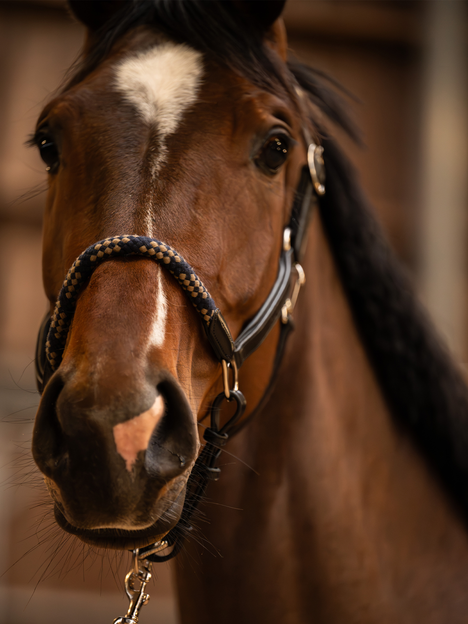 Palermo Leather Halter