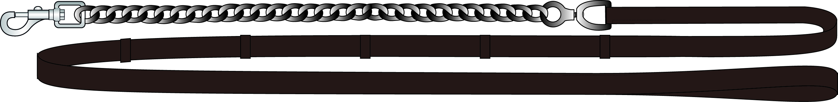 Chain Lead Rope