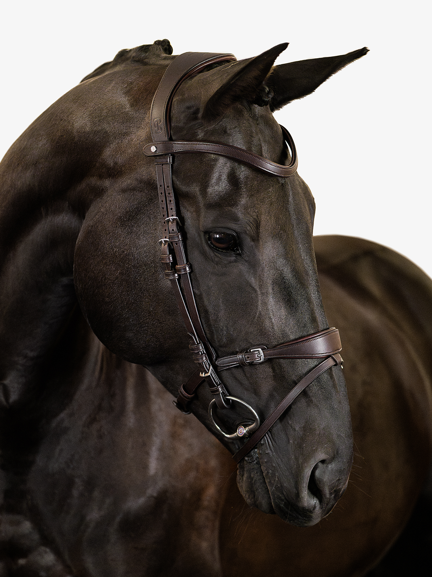 Mary Lou by Henrik von Eckermann Bridle + Reins Softy / Supergrip
