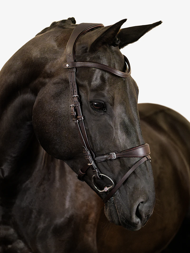 Mary Lou by Henrik von Eckermann Bridle + Reins Softy / Supergrip Mary Lou by Henrik von Eckermann Bridle + Reins Softy / Supergrip