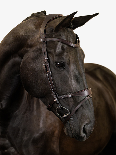 Mary Lou by Henrik von Eckermann Bridle + Reins Softy / Supergrip
