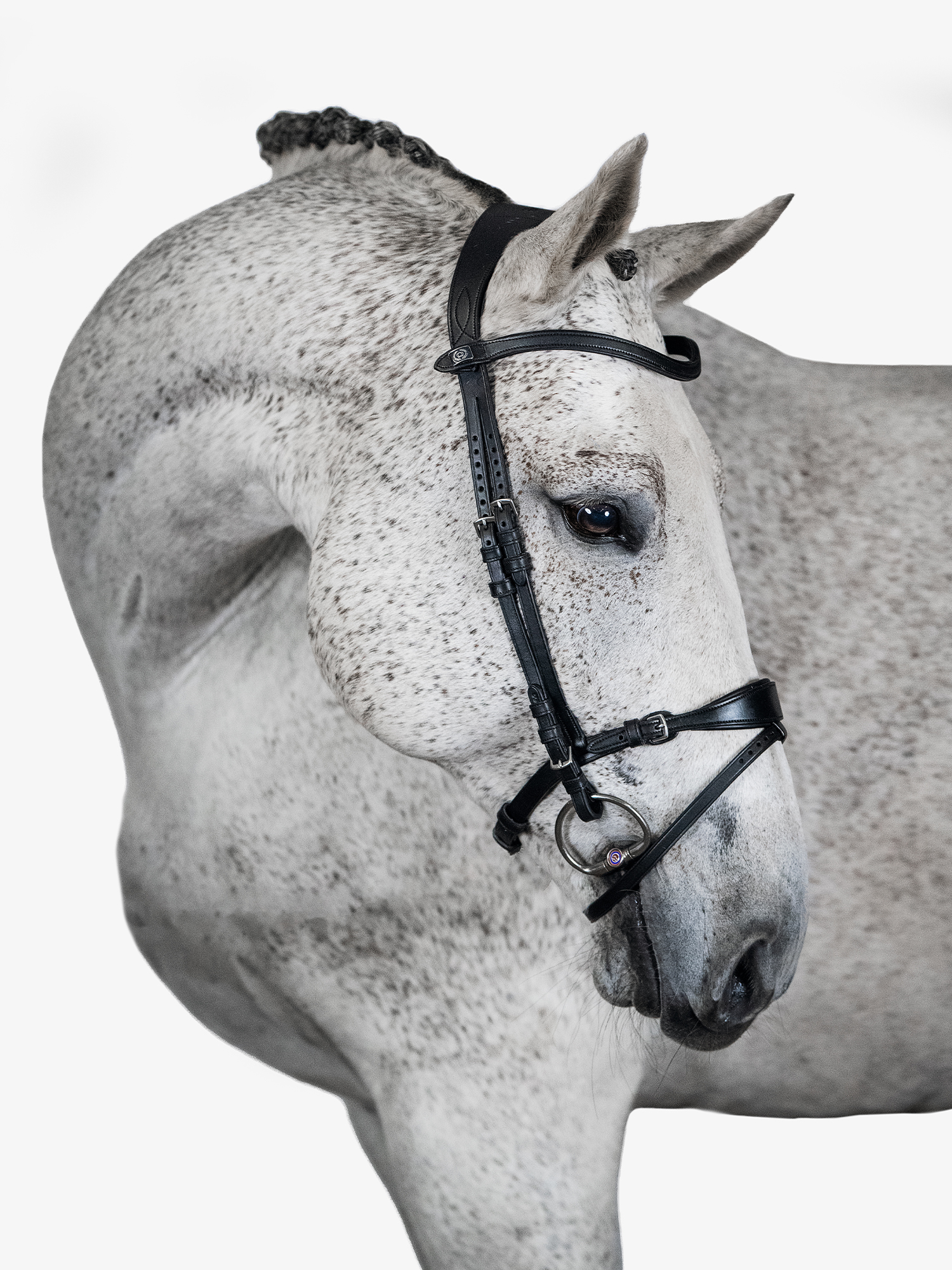 Mary Lou by Henrik von Eckermann Bridle + Reins Softy / Supergrip