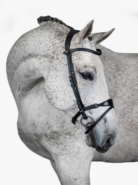 Mary Lou by Henrik von Eckermann Bridle + Reins Softy / Supergrip