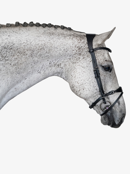 Mary Lou by Henrik von Eckermann Bridle + Reins Softy / Supergrip