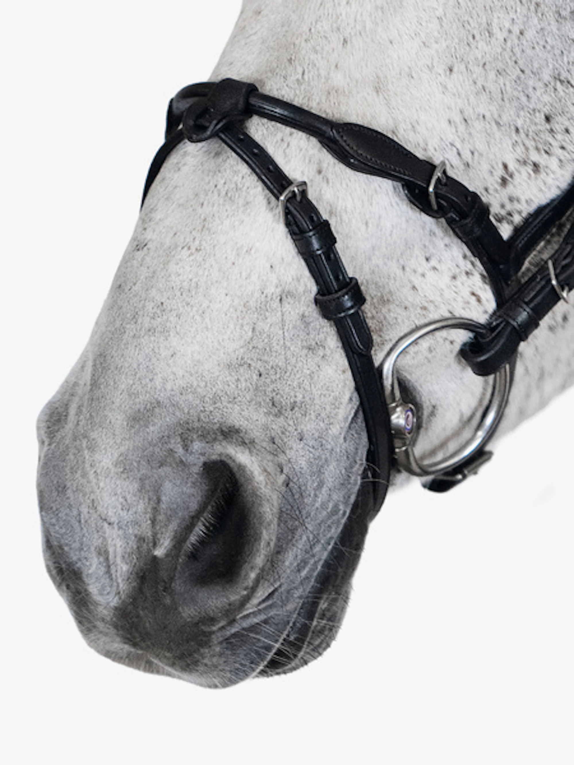 Mary Lou by Henrik von Eckermann Bridle + Reins Santa Fe Mary Lou by Henrik von Eckermann Bridle + Reins Santa Fe