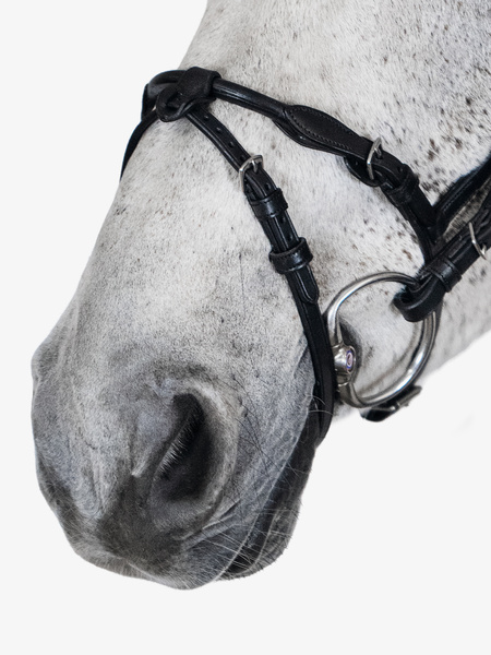 Mary Lou by Henrik von Eckermann Bridle + Reins Softy / Supergrip