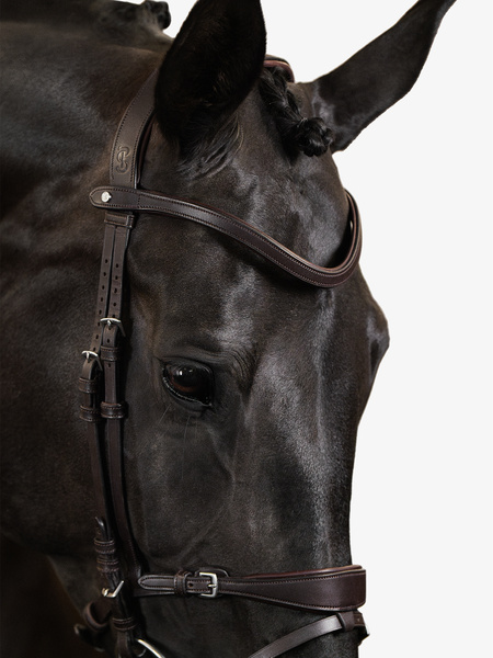 Mary Lou by Henrik von Eckermann Bridle + Reins Softy / Supergrip