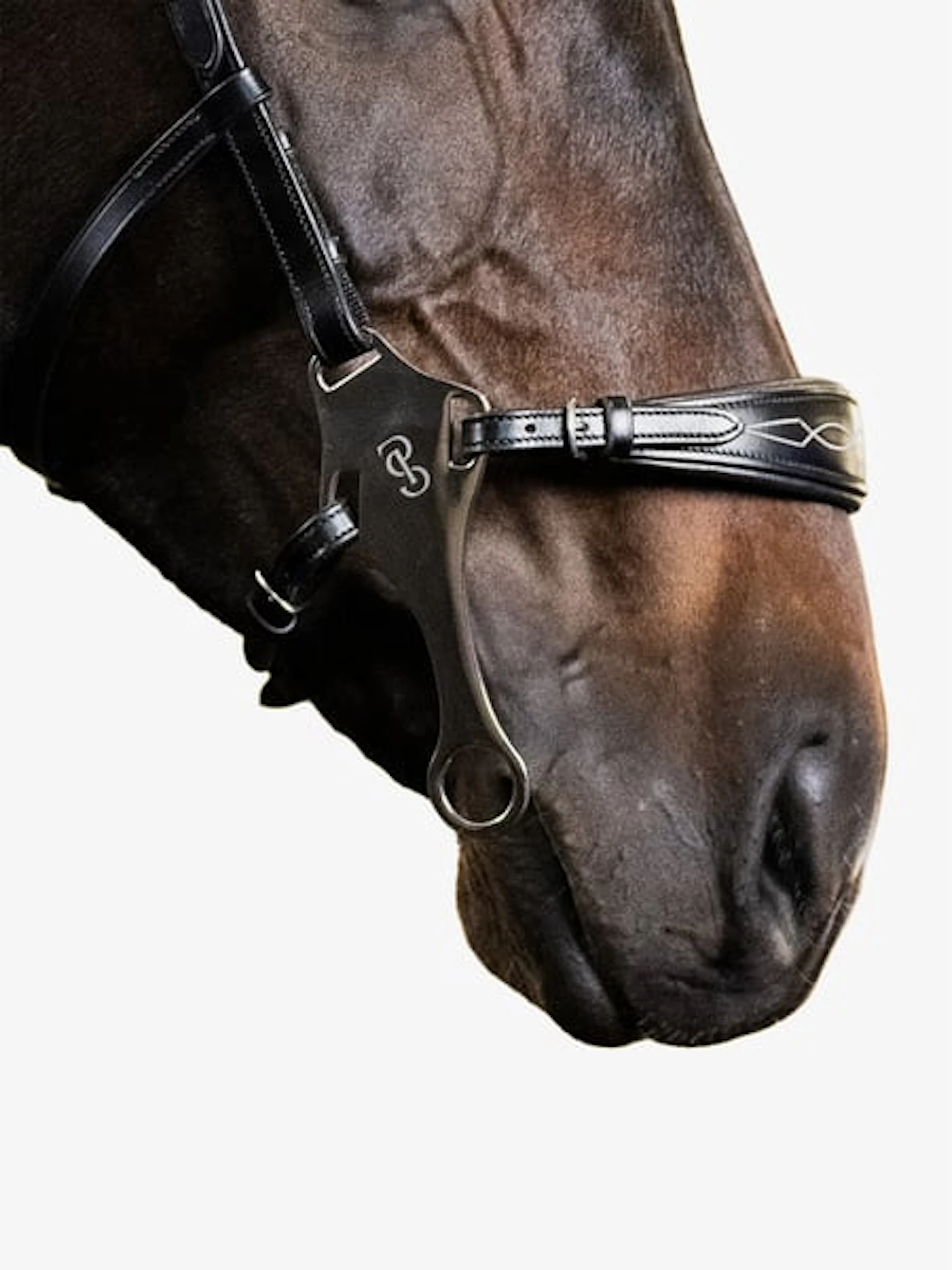 Hackamore Sport Bridle +Reins Santa Fe Hackamore Sport Bridle +Reins Santa Fe