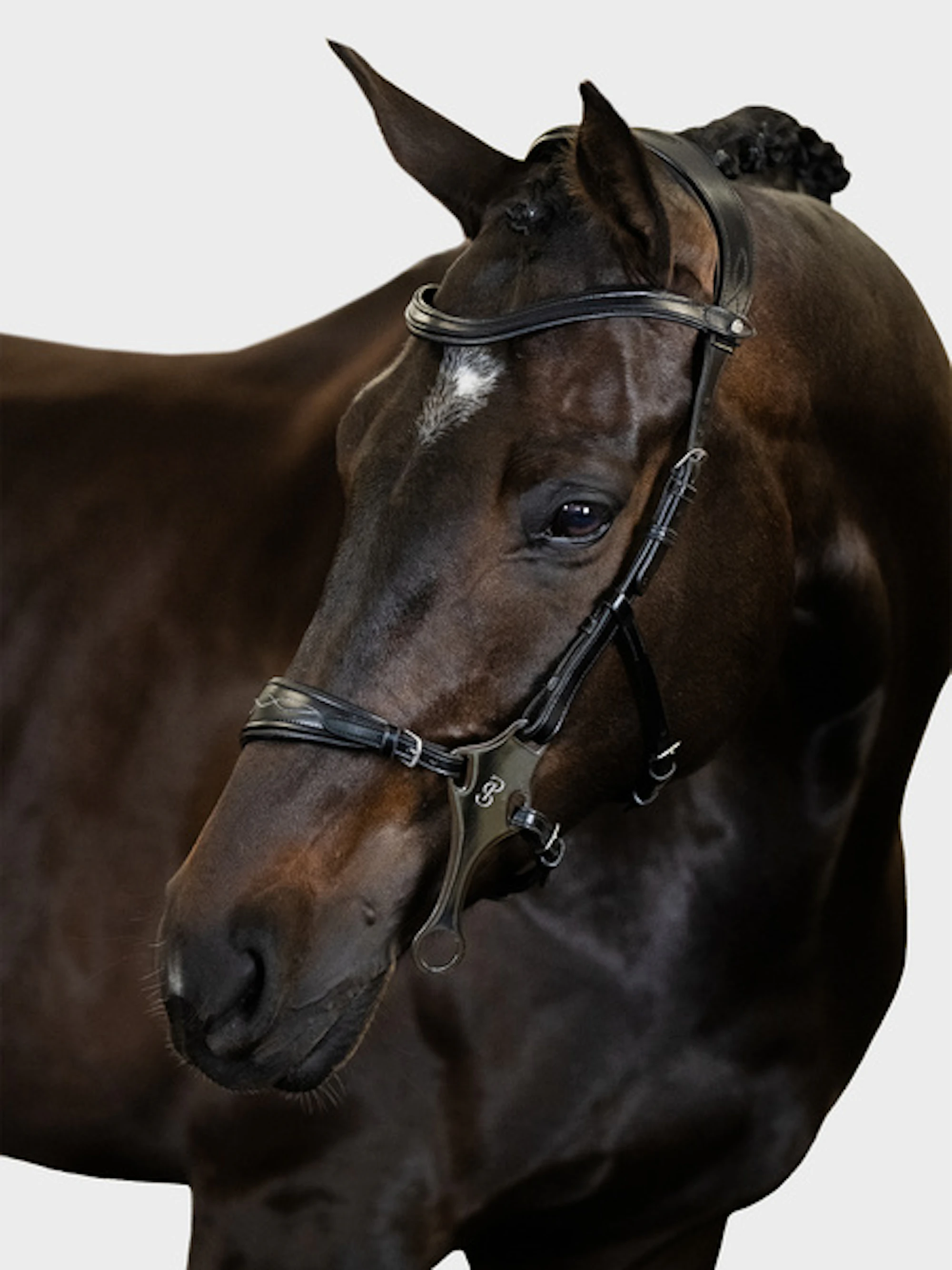 Hackamore Sport Bridle +Reins Santa Fe Hackamore Sport Bridle +Reins Santa Fe