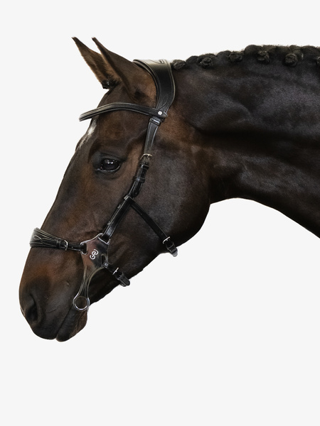 Hackamore Sport Bridle +Reins Santa Fe
