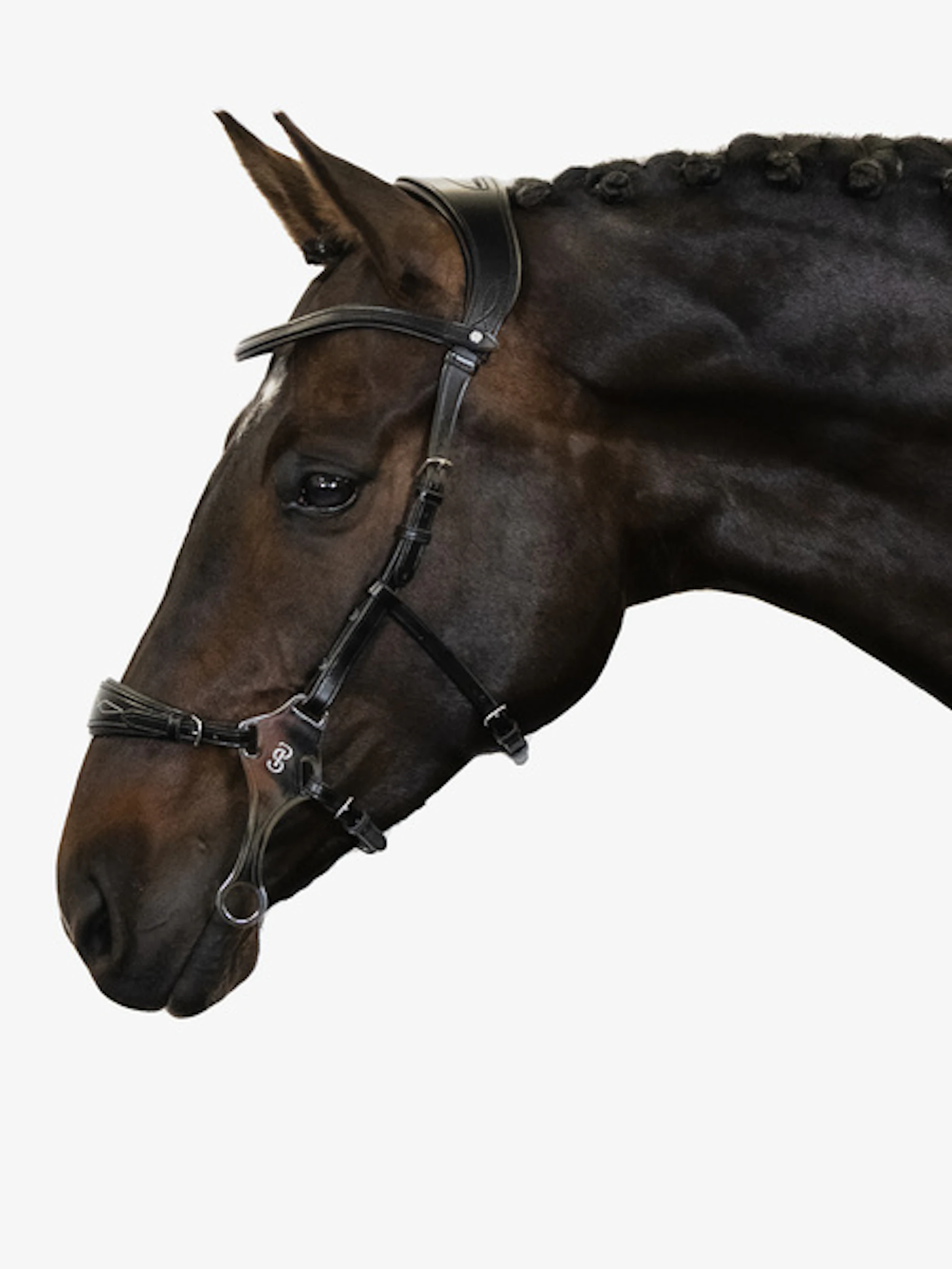 Hackamore Sport Bridle +Reins Santa Fe Hackamore Sport Bridle +Reins Santa Fe