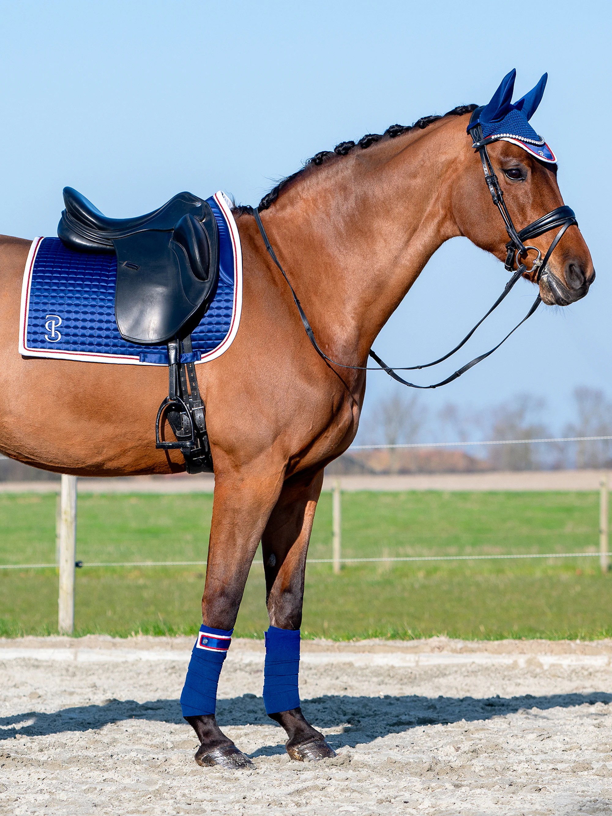Polos National Team USA Polos National Team USA