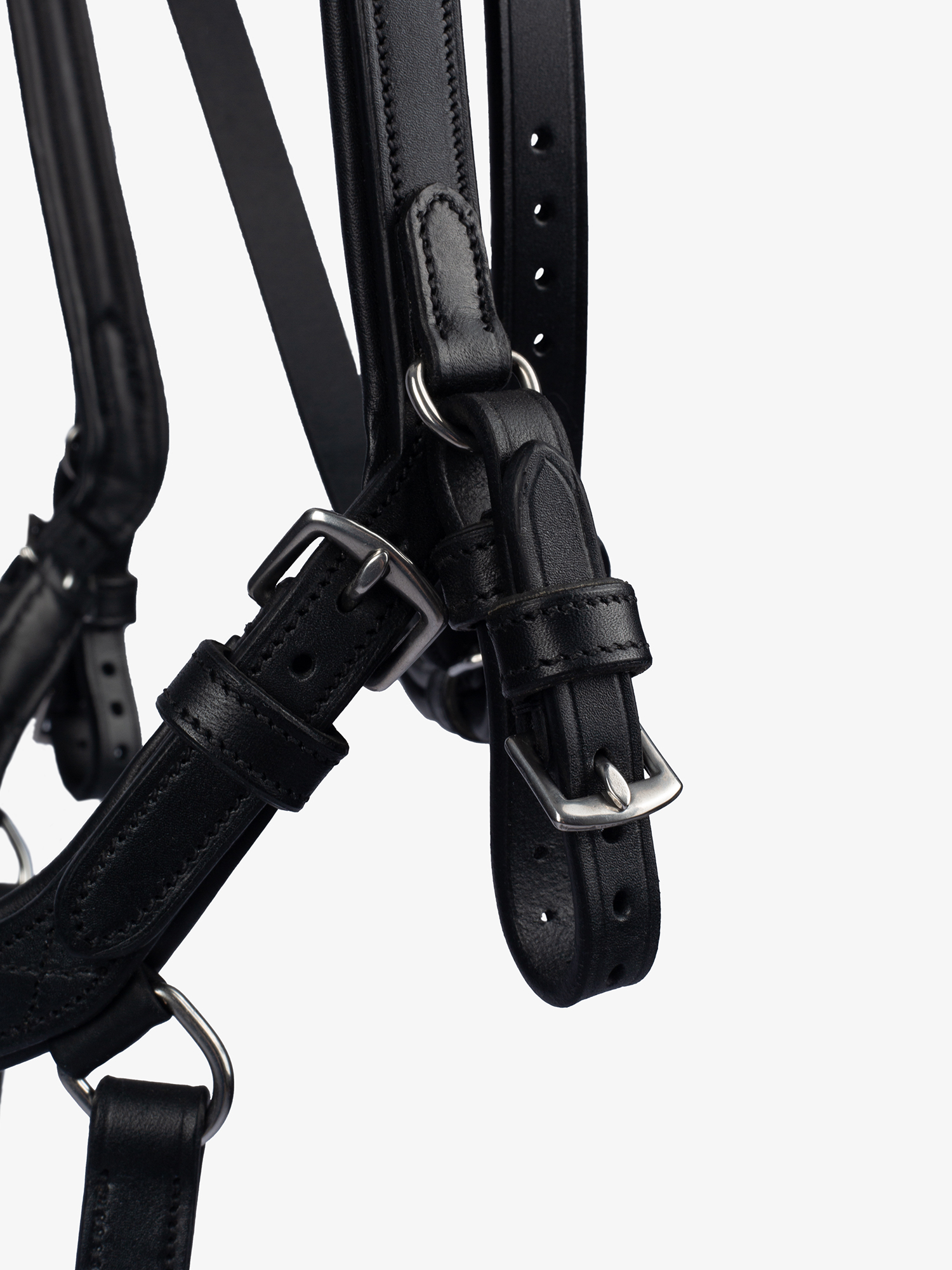 Bridle King Edward