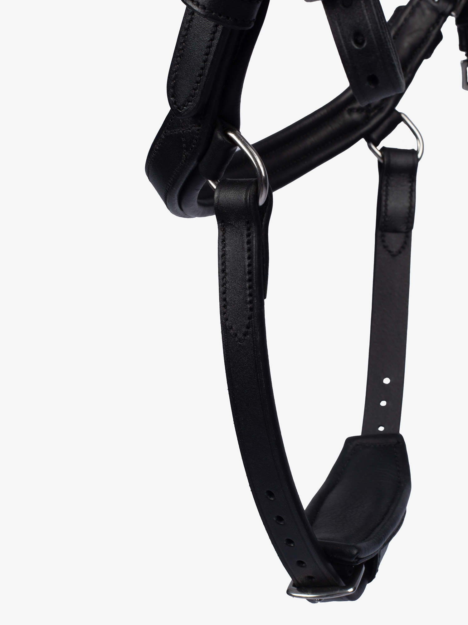 Bridle King Edward