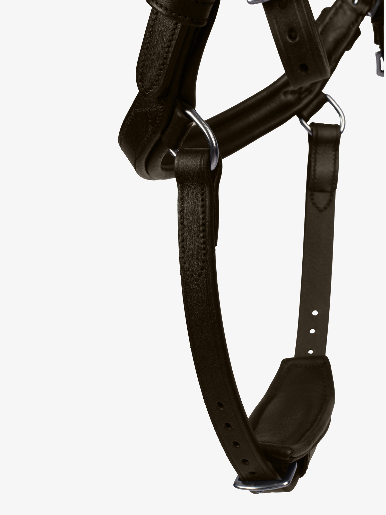 Bridle King Edward