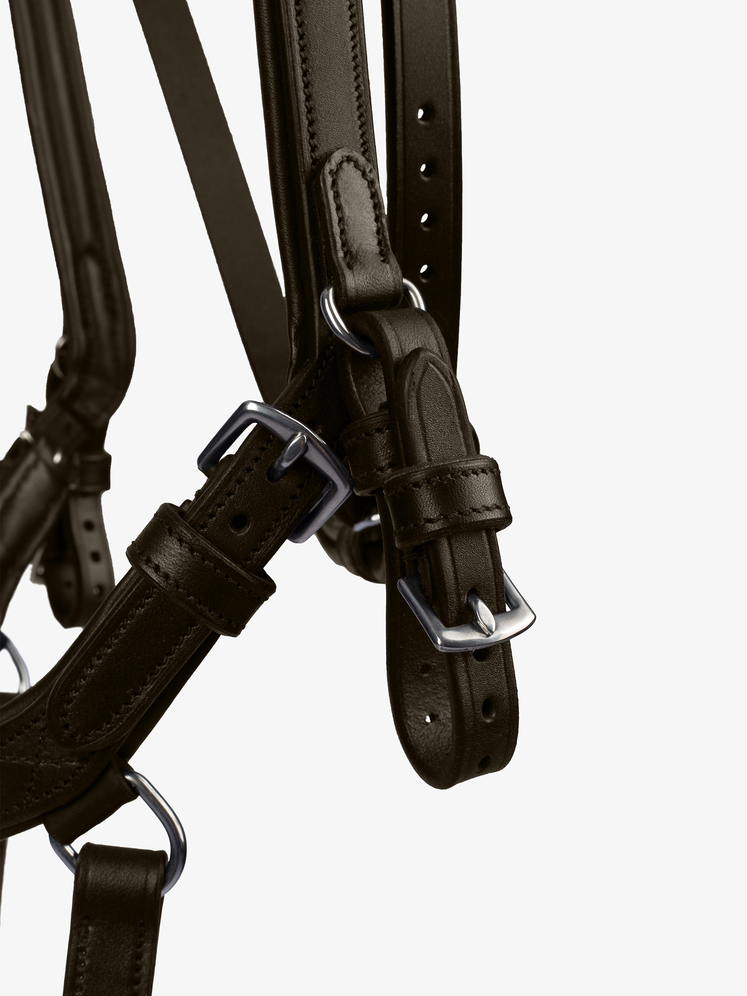 Bridle King Edward