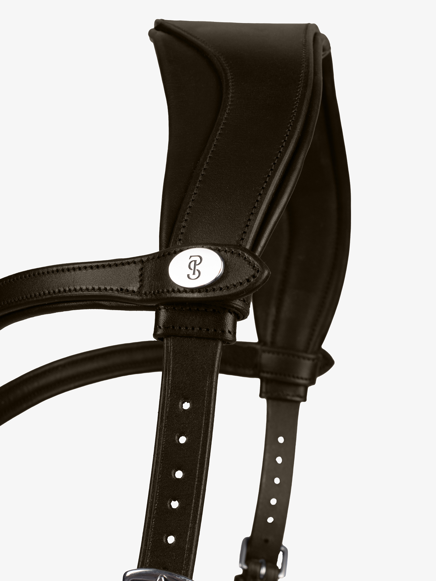 Bridle King Edward