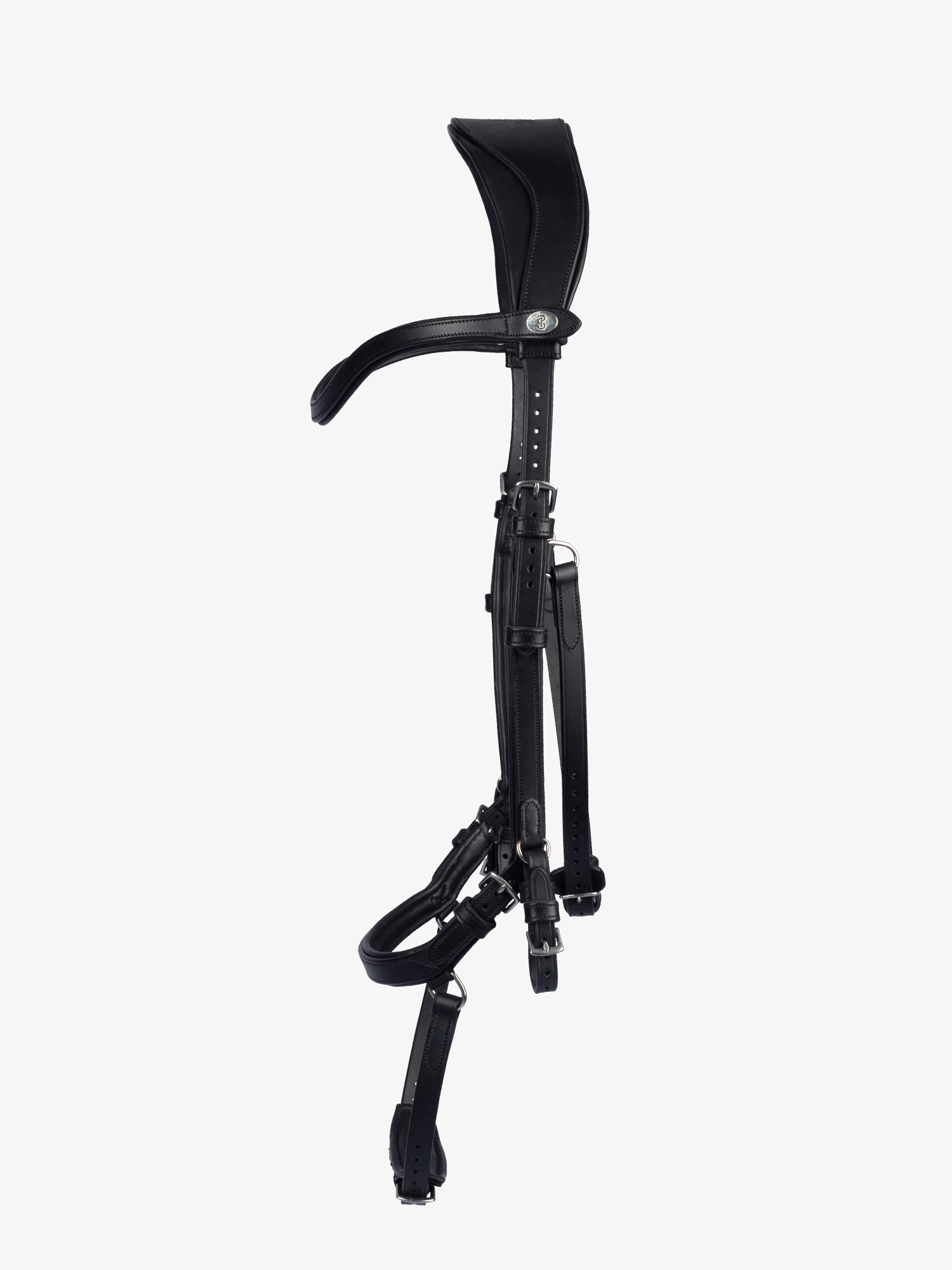 Bridle King Edward