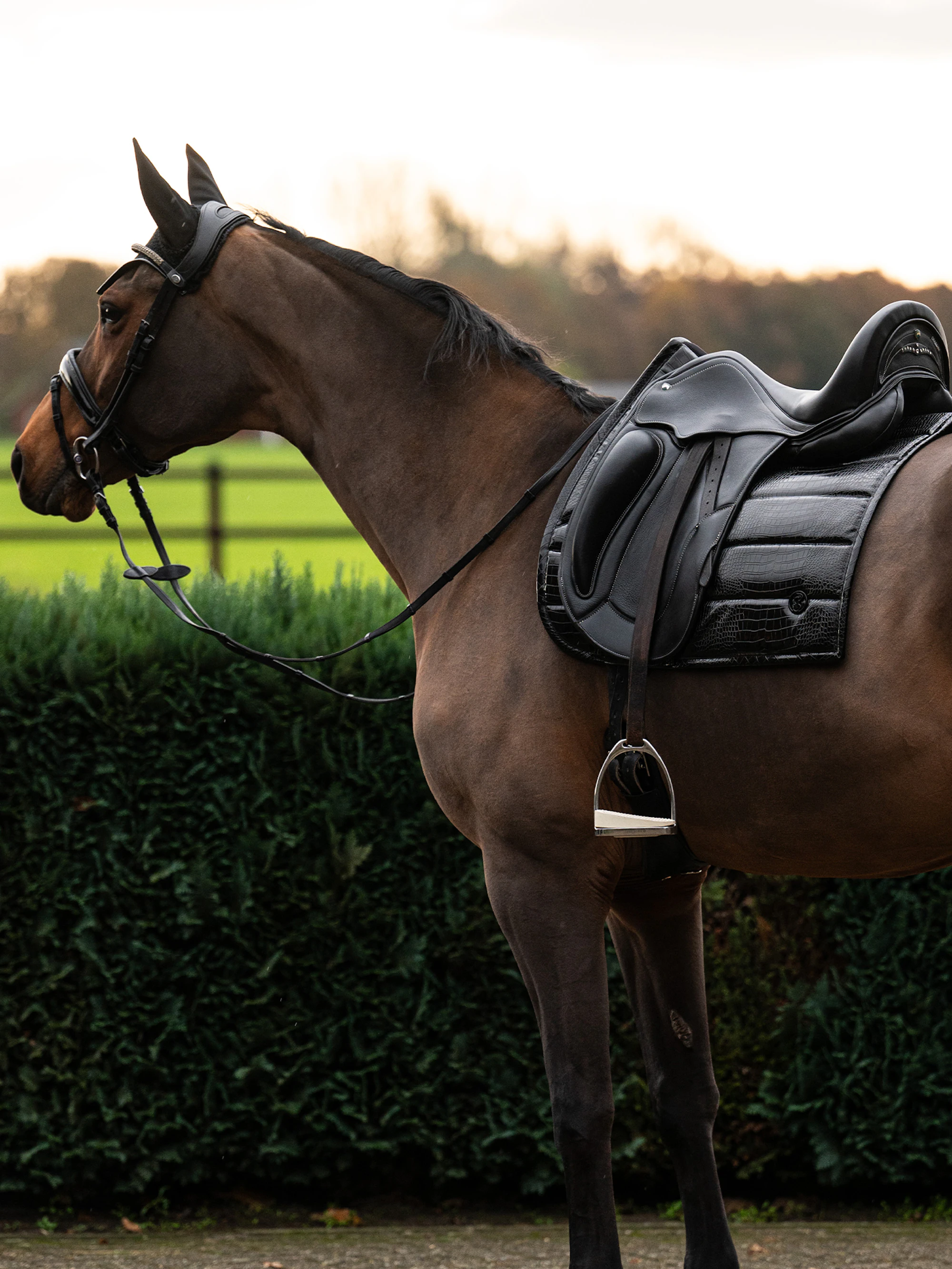 Saddle Pad Croco PU Dressage Saddle Pad Croco PU Dressage