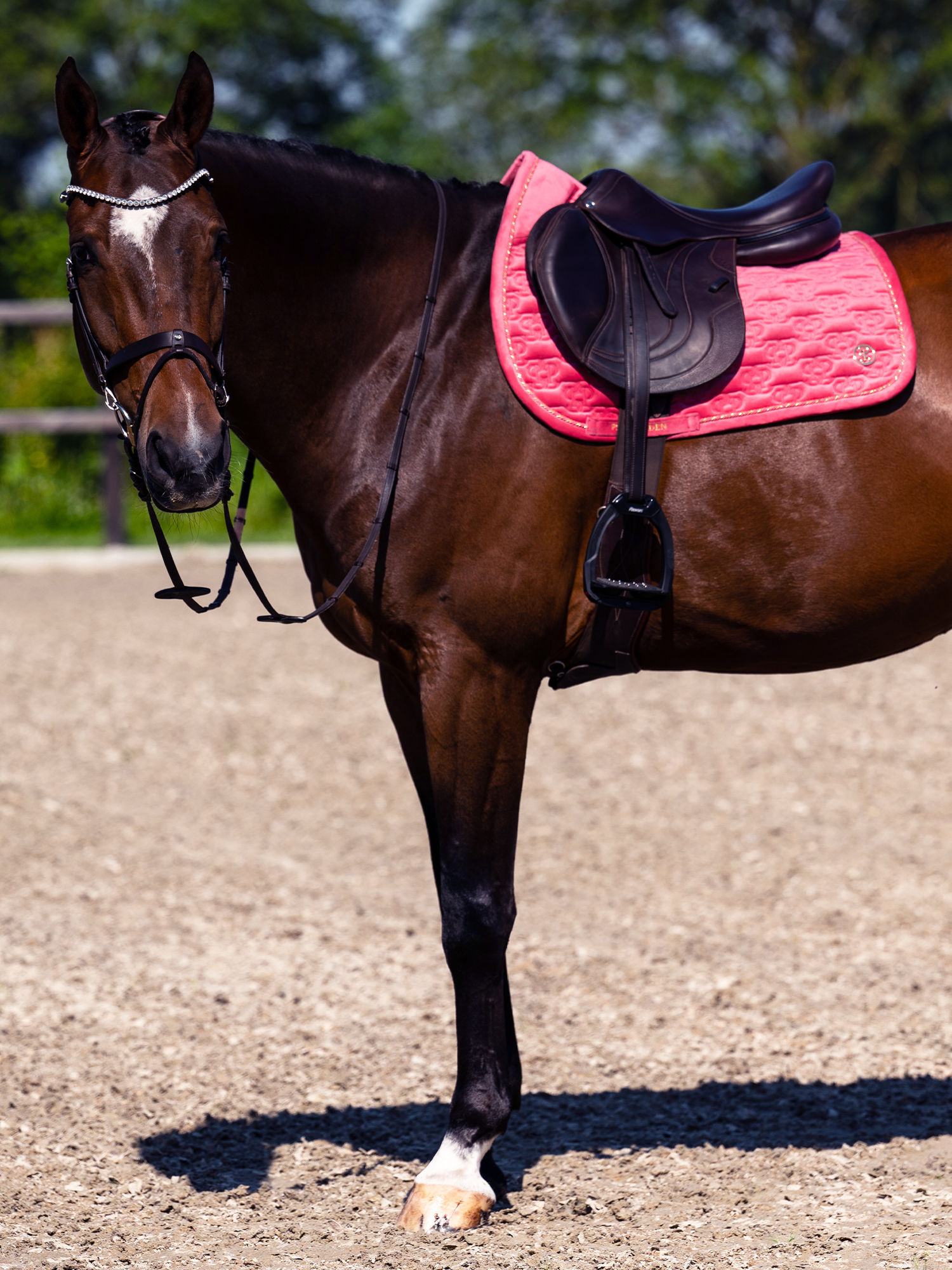 Saddle Pad Velvet Monogram Jump