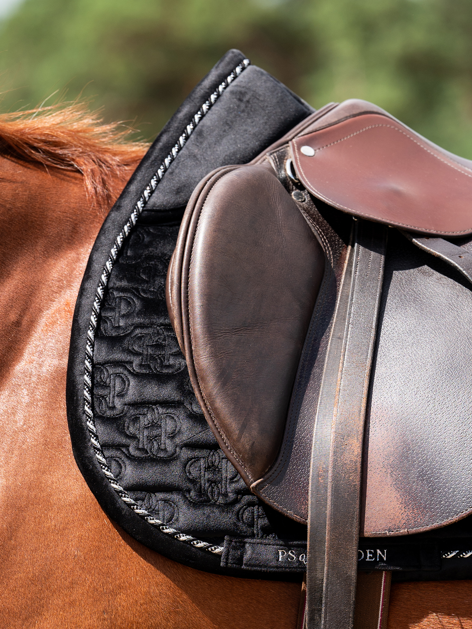 Saddle Pad Velvet Monogram Jump