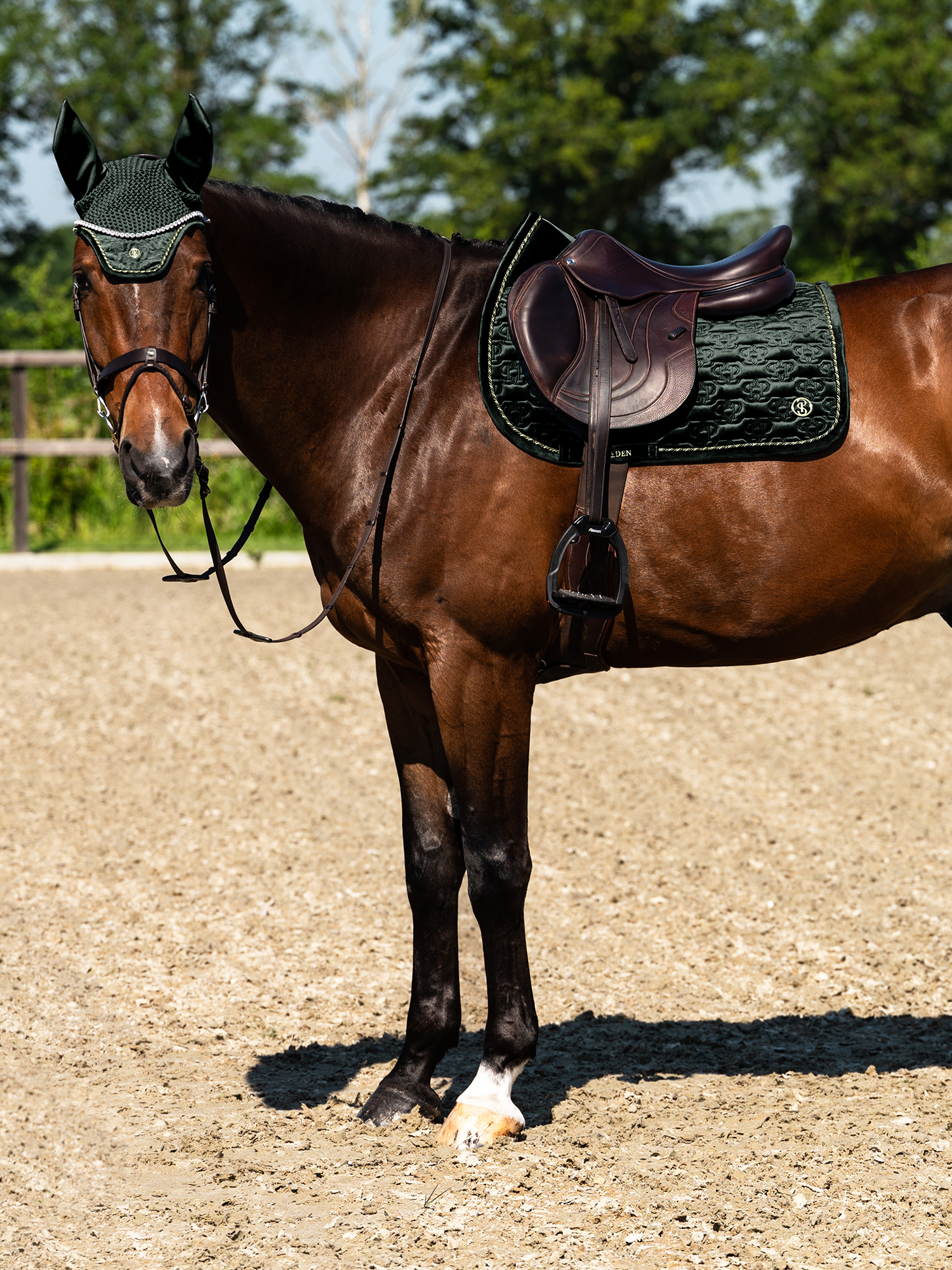 Saddle Pad Velvet Monogram Jump