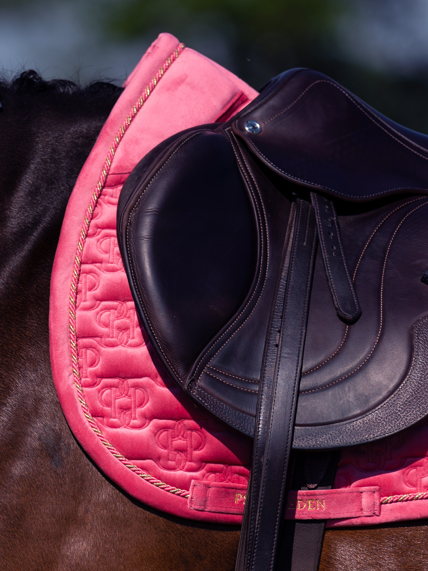 Saddle Pad Velvet Monogram Jump