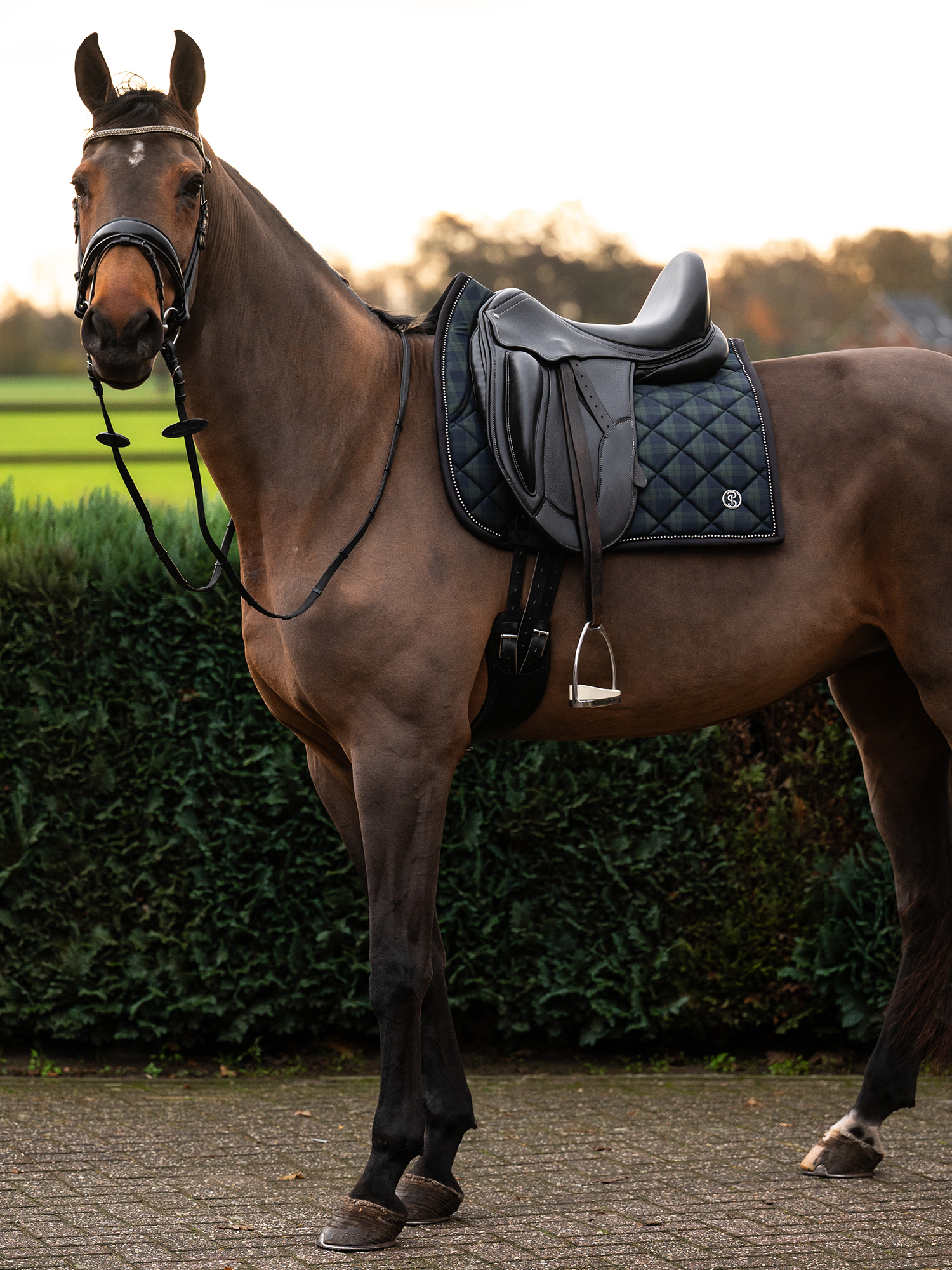 Tartan Checked Saddle Pad Dressage